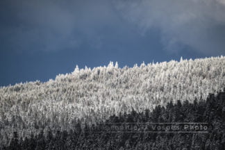 Photographie des Vosges, foret de sapin sur les hauteurs de Gérardmer