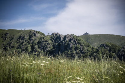 Photographie des Vosges, randonnée en été dans le massif du Hohneck